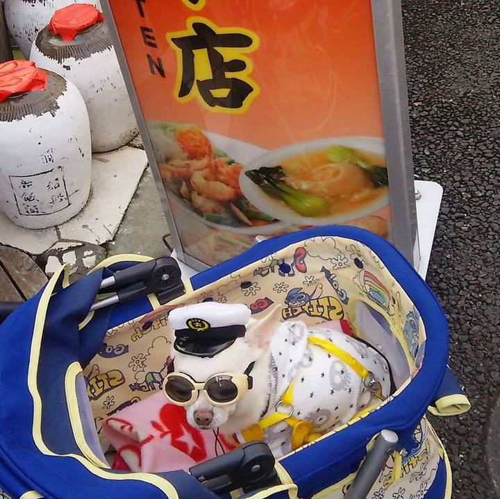 4a1459a9 47d9 4001 a82d df57b2031395