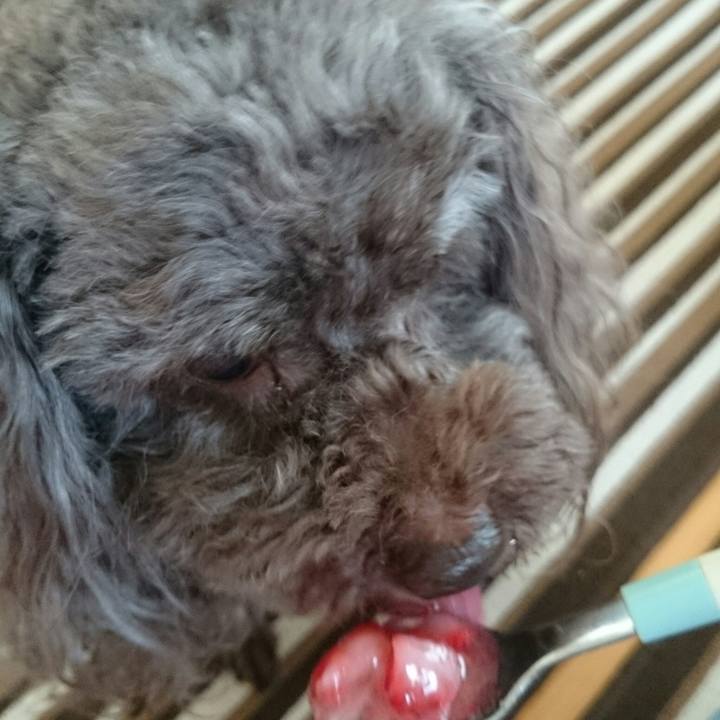 4a15aeb6 df07 42b8 8c73 33e238455c4c