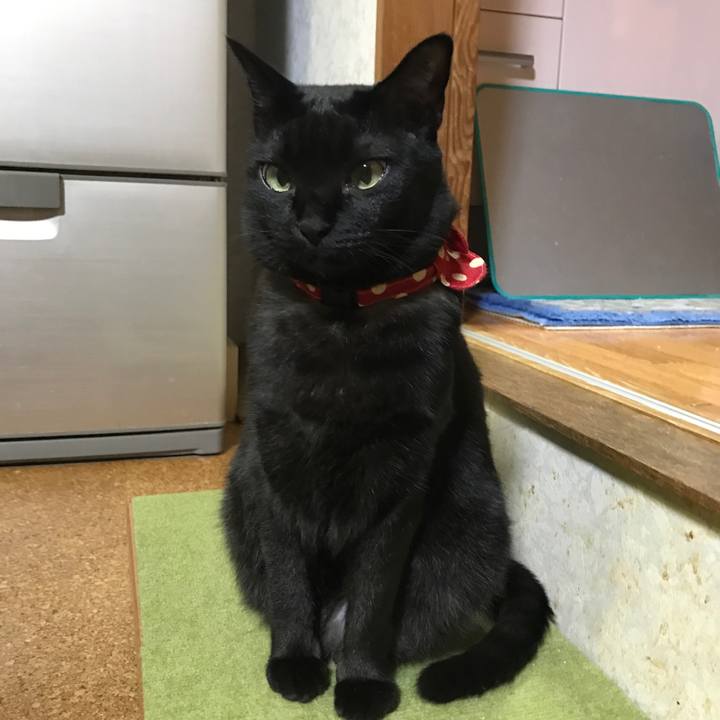 4a15b797 bb66 4d83 a01e 0455c771daff