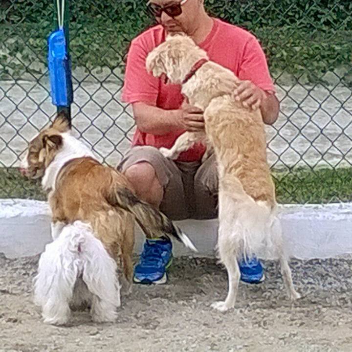 4a16cfc1 22d4 4409 ac85 403739af9ec9