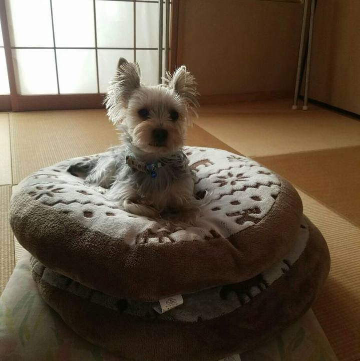 4a16ef2b c5d8 4bd8 9ec1 76a94e5dd2ef