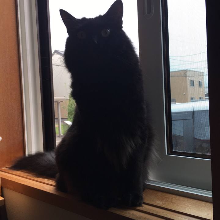 4a175070 91a0 409a 8a2f fc31ac8f321f