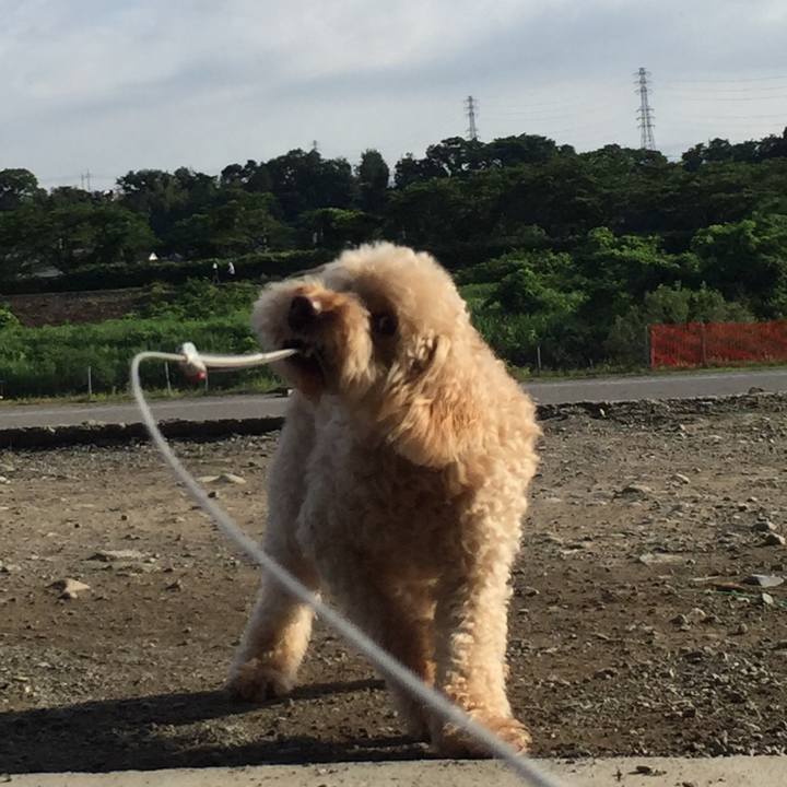 4a1852e6 ac23 449a 950a 7be3e6bb681a