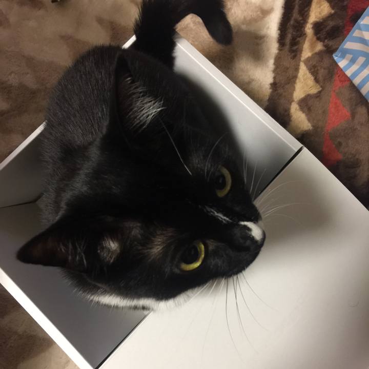 4a18d790 46e6 4fd2 ac9c bfb5cba78461