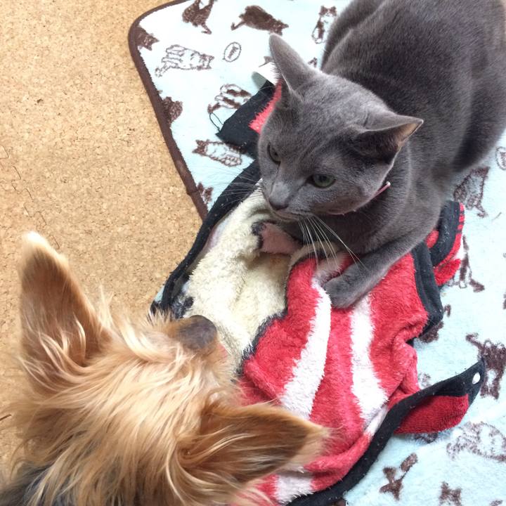 4a198489 e5a0 4ba6 8eb4 ff6aabde523d