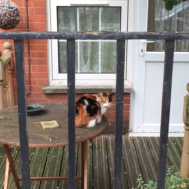 4a19fe22 11aa 4742 82b1 89a9738785df