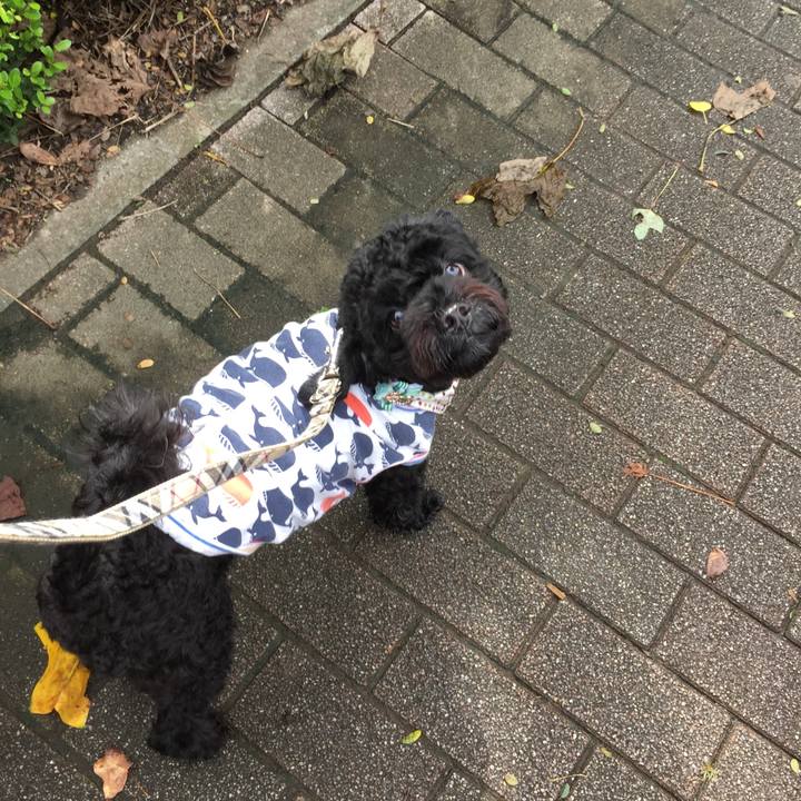 4a1aa267 25dd 42f5 baaa 244363933c9f