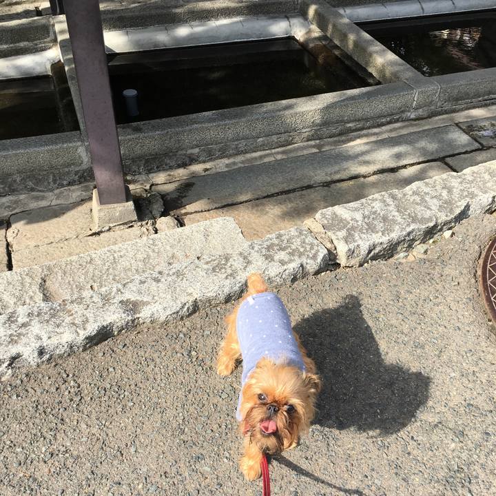 4a1abaf4 4690 41f7 b929 fe2f710174e4