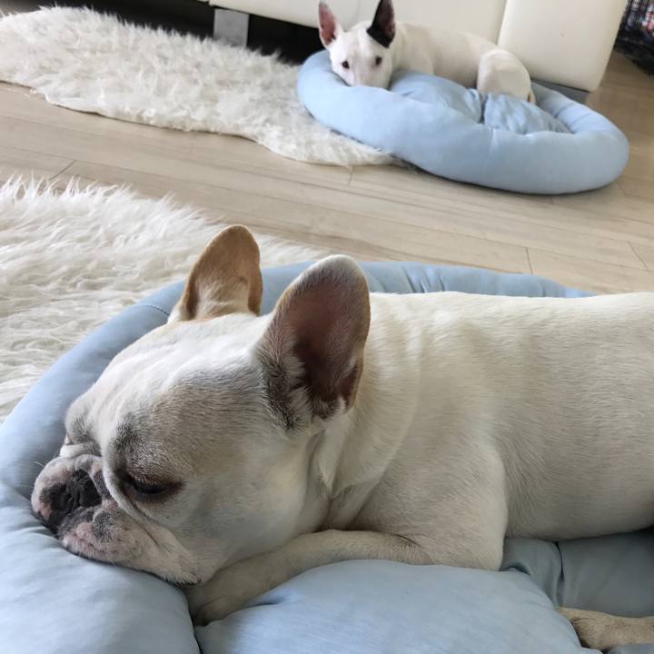 4a1b0b8f aaa3 4e2f bd93 cda13fa4e93f