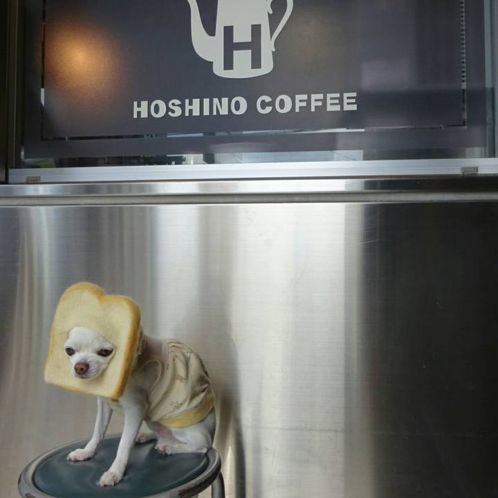 4a1b5b88 2e9b 4f05 865a 4c2fe14489ee