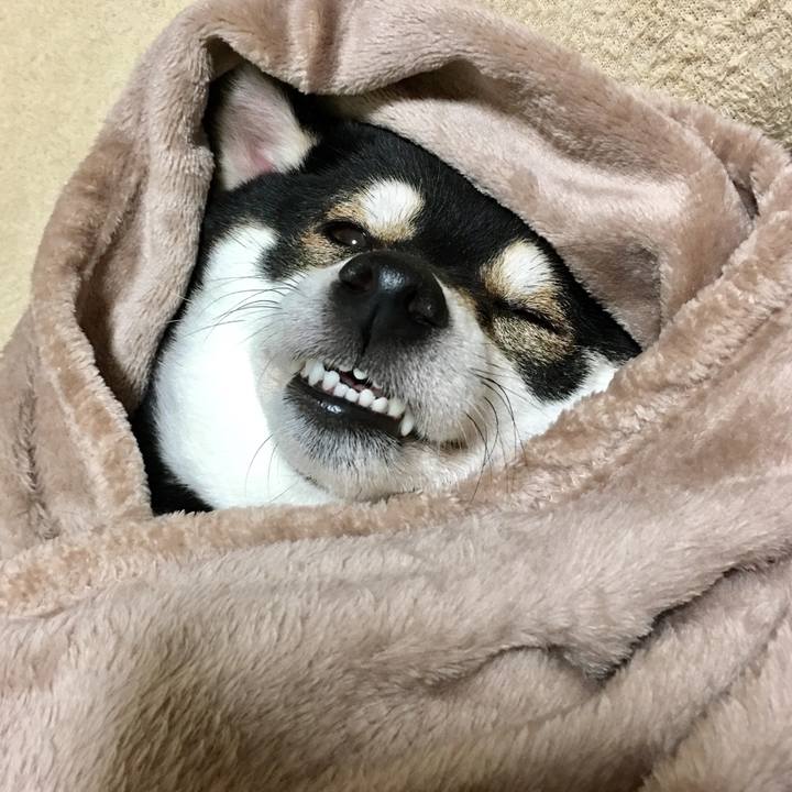 4a1c9335 b876 4e4d 9174 4d9ef8a9900c