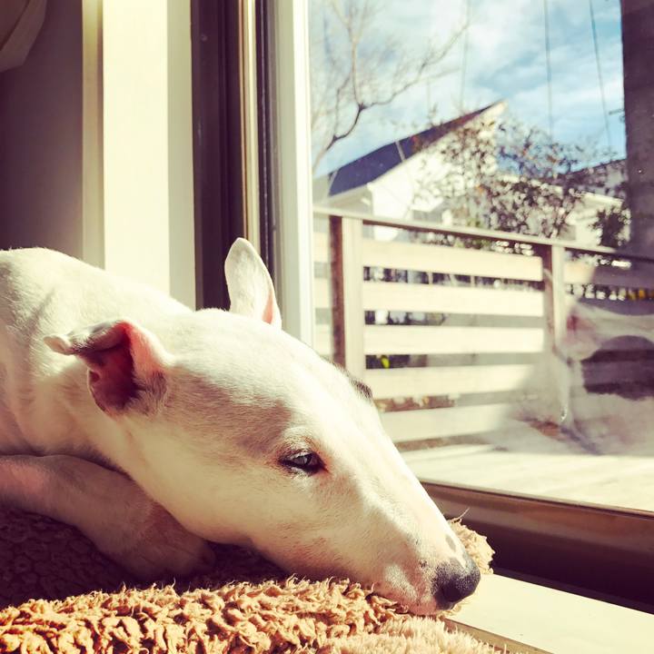 4a1d977c 1ad1 4d95 82d6 6abfad67f097