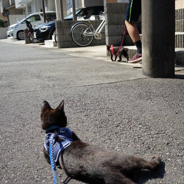 4a1de7f6 99f6 4d51 9dfd 72e12804abc6