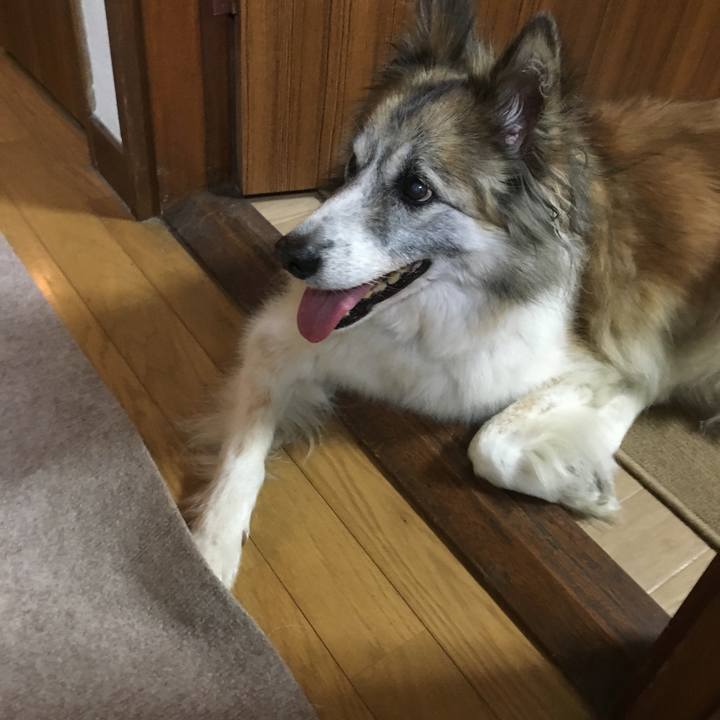 4a1e1086 fdf8 4049 a668 b785bdbbcf37