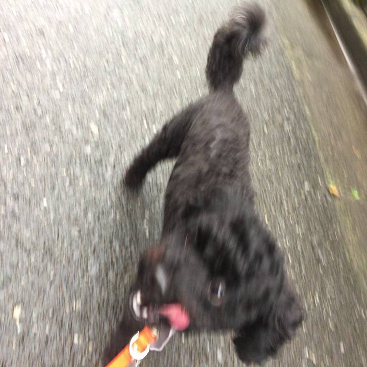 4a1e2d70 d5f9 4909 97ae 2b2de6e762a8