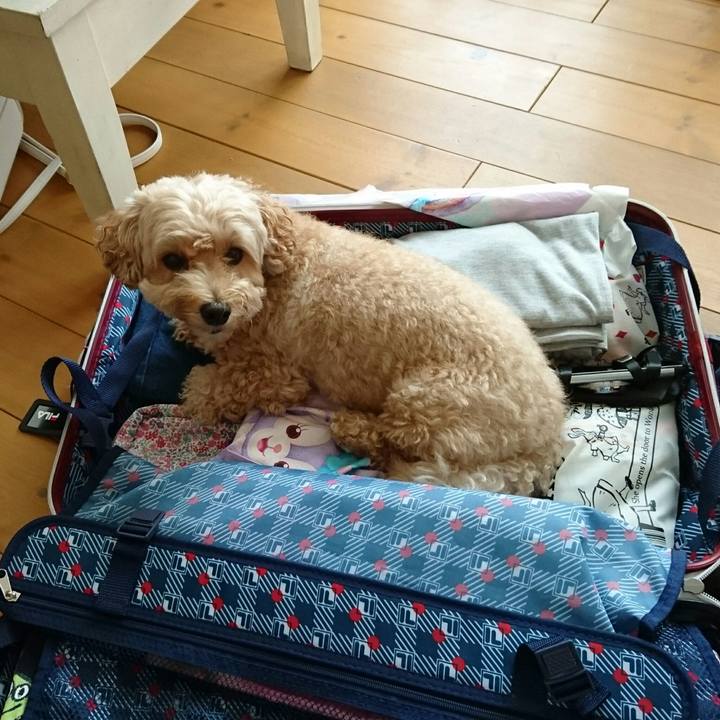 4a1e35cc c144 4bd8 8116 c2e262ac9557