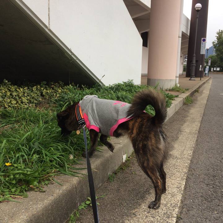 4a1e4e9f 55fd 4dbf 91ef d05dee7c3dd4