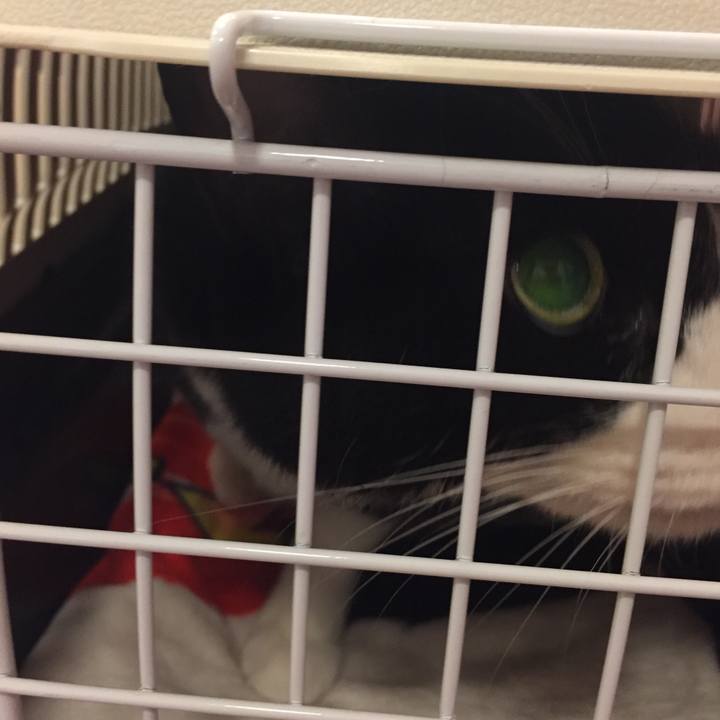 4a1f37f7 ce66 4a98 a5fa 97e3b26050dd