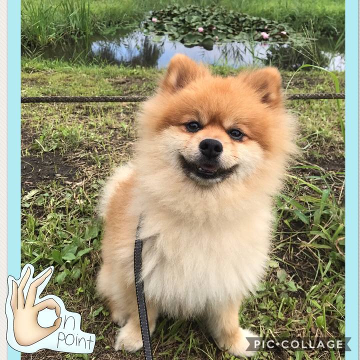 4a1f5cad 6fbd 4019 8eab 290aef3e70c7