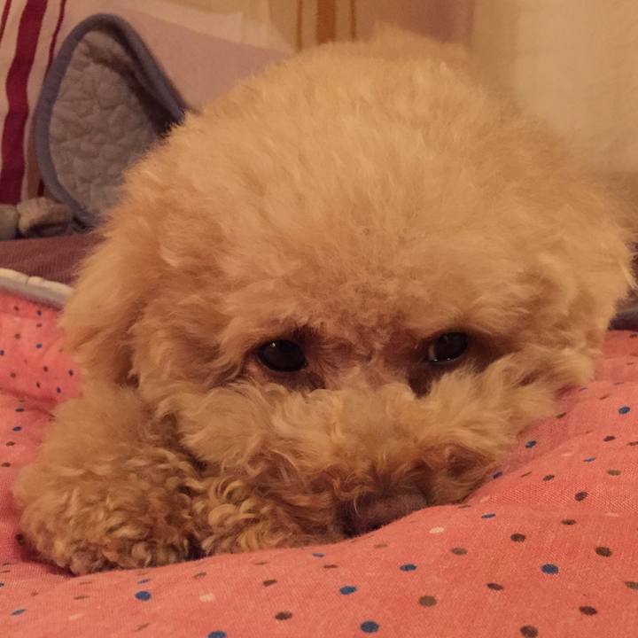 4a1fb8ad a68b 4b9e 9c88 f0e56383cbe1