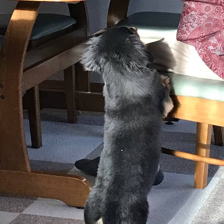 4a204fec 54d2 4824 a5e4 a19ea66803fb