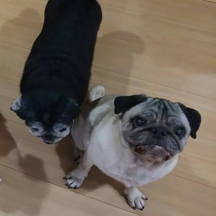 4a20fb78 6c2d 4f16 b651 933d555ac3bf