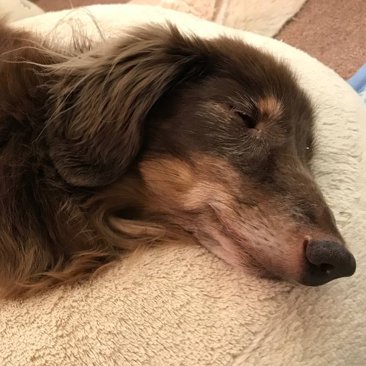 4a21882c 7232 4ad3 a8a9 879a39a18796