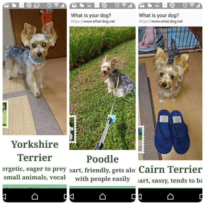 4a22065d e6b0 465e aeb6 e3388a9237df