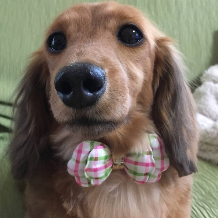 4a2377ad a2b6 4405 8e84 01ff1b4e734e