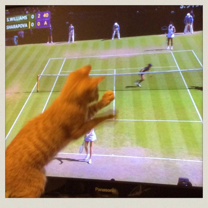 4a23d6ab 5724 43fa 9603 c29cda6ed8f4