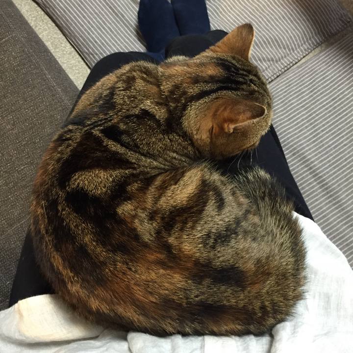 4a246ee6 c57a 4c25 8a88 aee8b340c12f