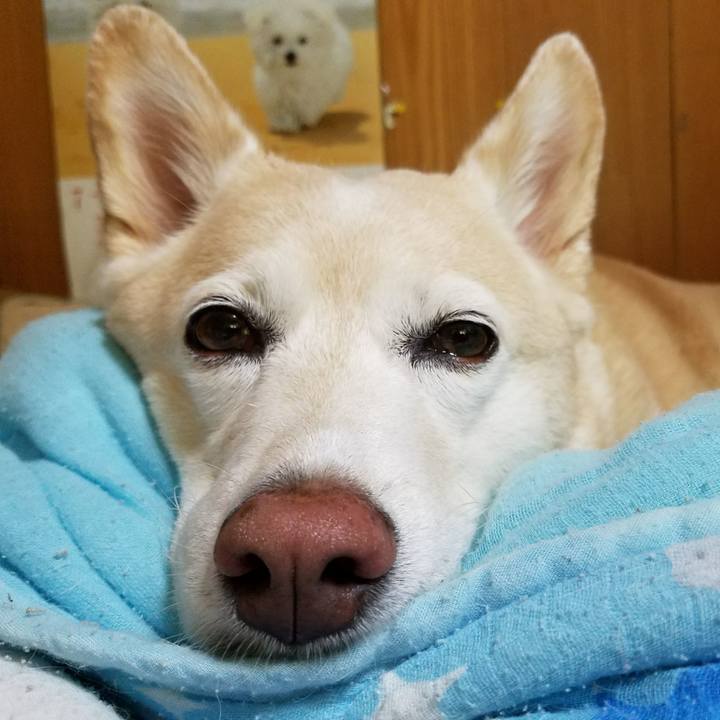 4a247009 e0ad 4746 9d6e 92dafb74763a