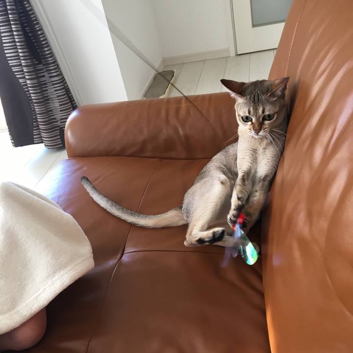 4a24bcb5 e019 430c bd8c 9defcd8a4bde