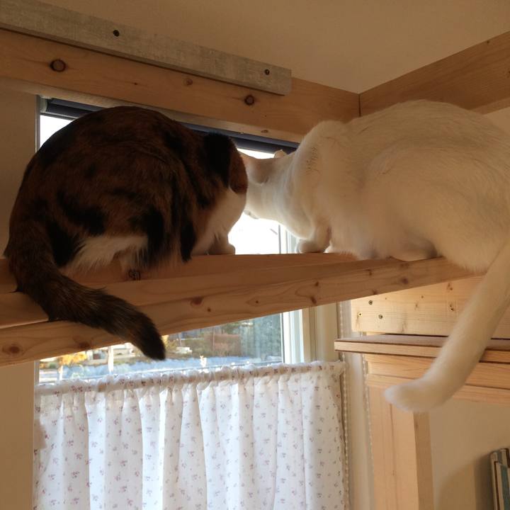 4a2592fd a39a 4830 ba73 04ccfd769b69