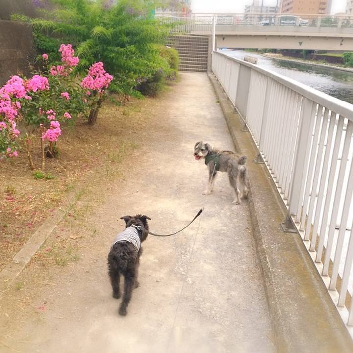 4a263254 5378 4e60 a424 b9eedf2287cf