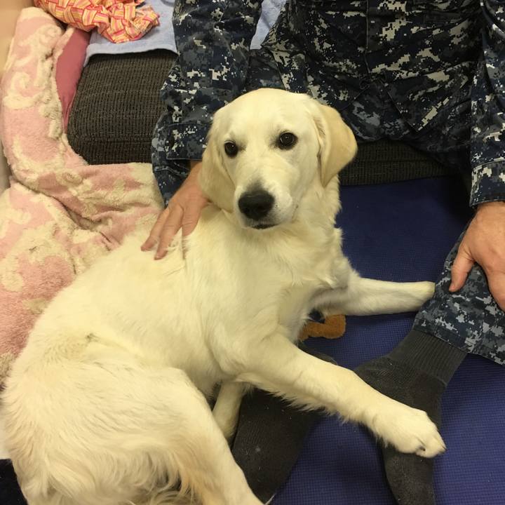 4a26b899 d10b 4ecf b663 0826b36aa853