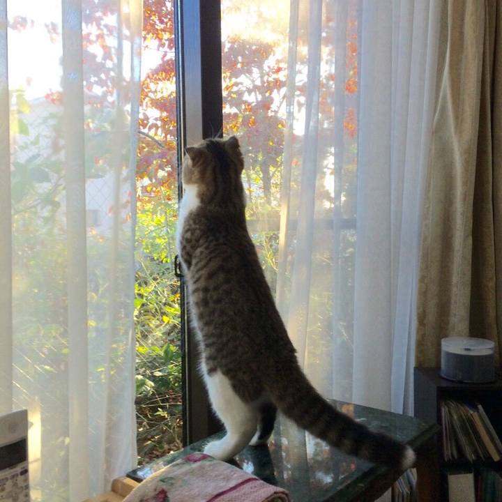 4a2794f4 7e3e 4a4c 84bb 451d4511f5cc