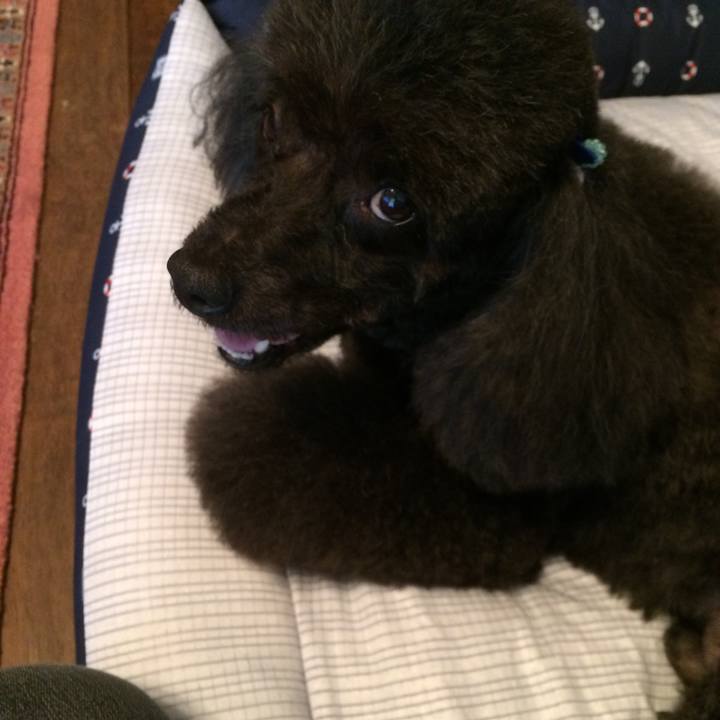 4a27f3fd df34 46e5 af76 63158426e416