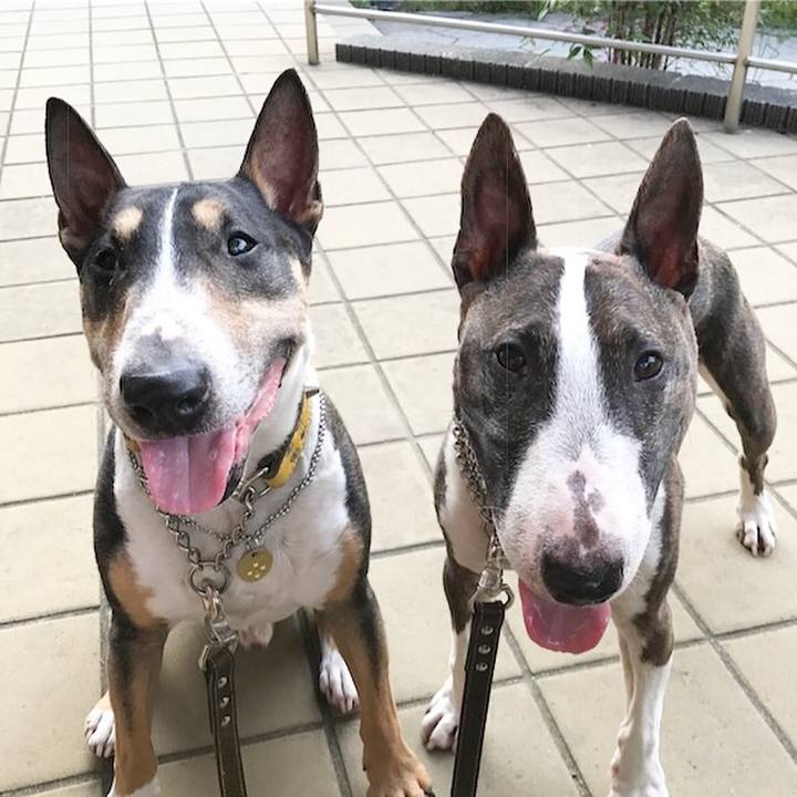 4a29dba2 6ef4 4dc0 aaef 30c1580b68e1