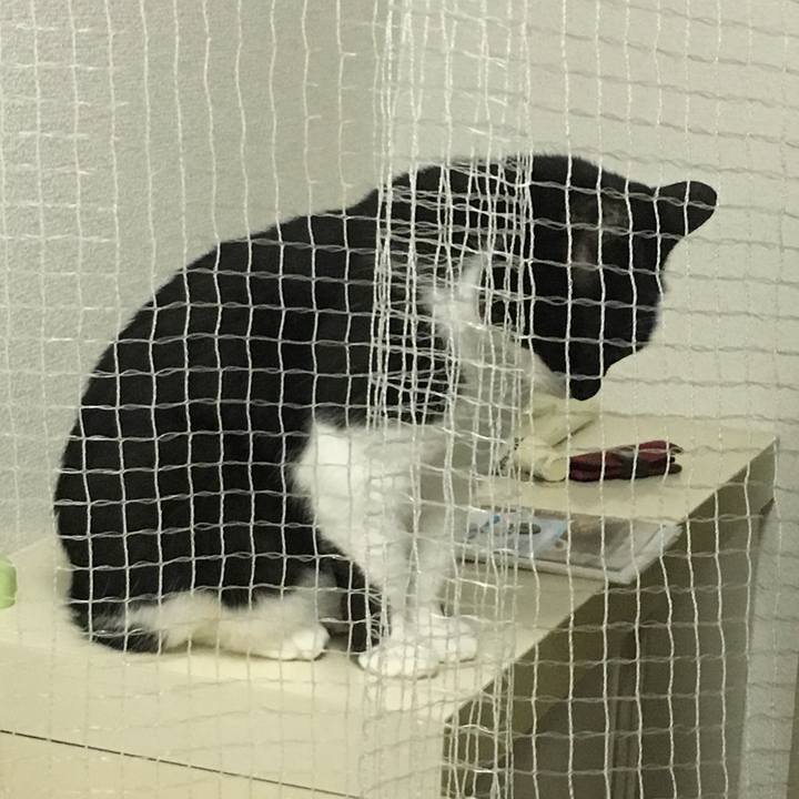 4a2a3b33 eca1 451f b347 31610e923318