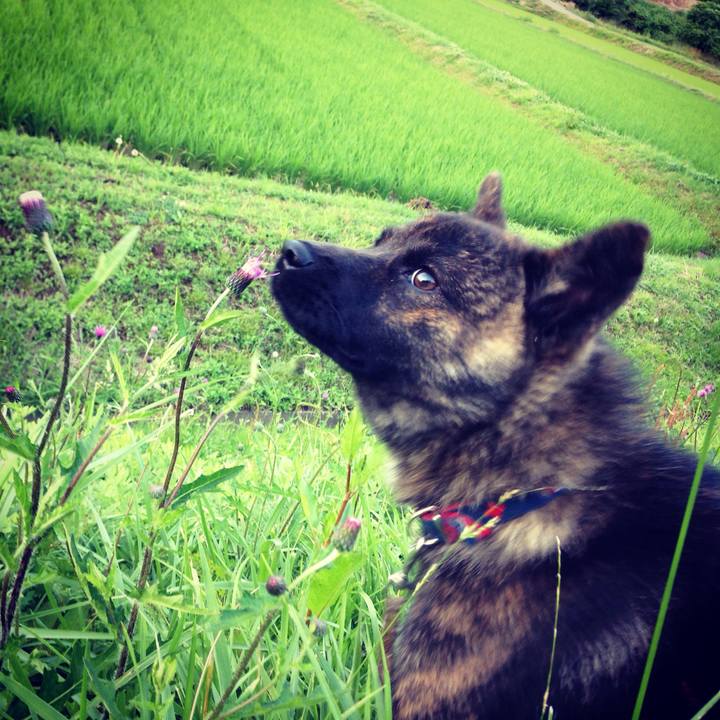 4a2ab541 ace8 4821 a7a2 c2e85a5e18be