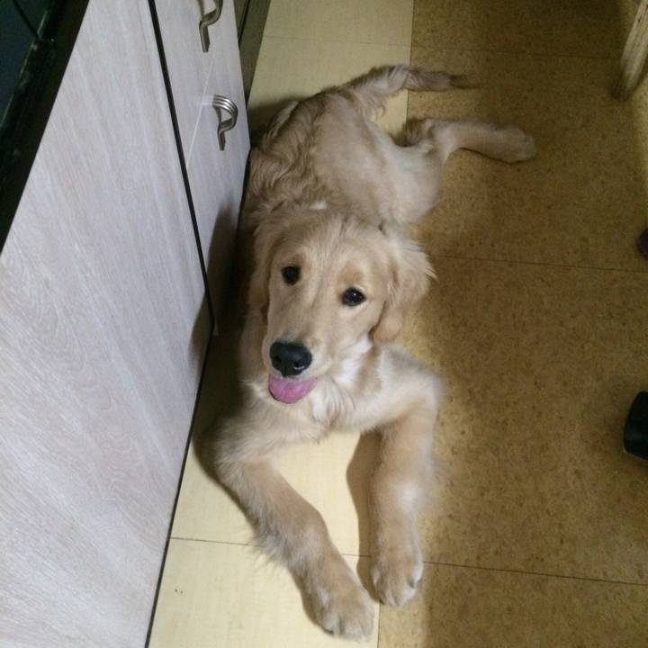 4a2becc0 0c69 4dc8 8ade 56edc04a4a29