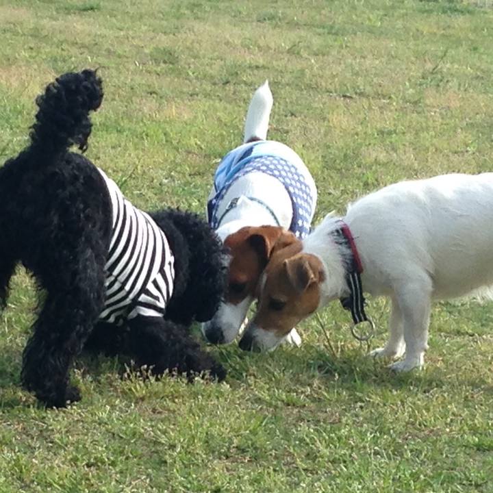 4a2c0cf1 940c 456b ae14 e173d6488818