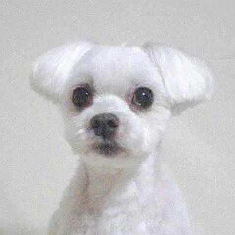 4a2d9fe1 8f44 40f5 99a6 d2176a29a47d