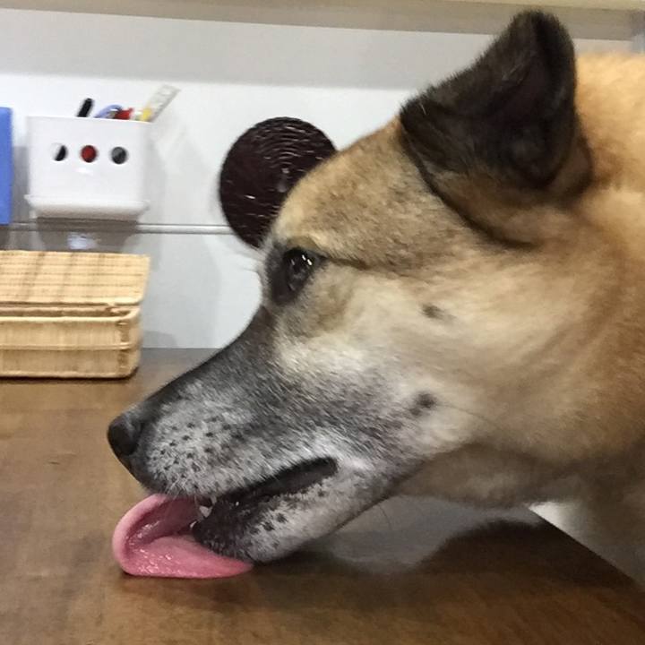 4a2e29c7 52ef 4ad4 87d1 30f8a56037ee