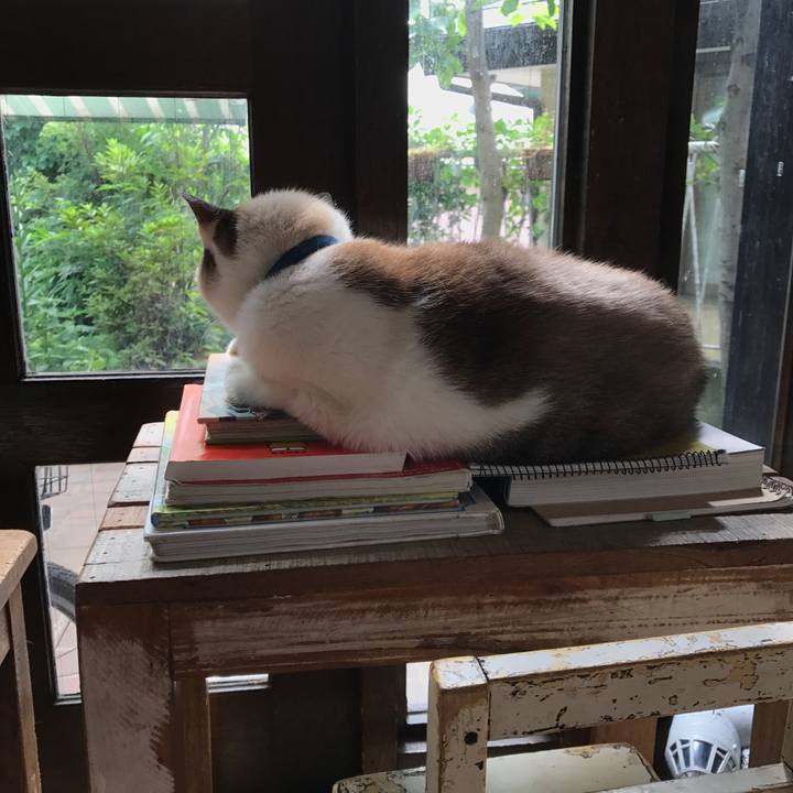 4a2e3101 7b81 420c 8656 eb6e9f9569bc