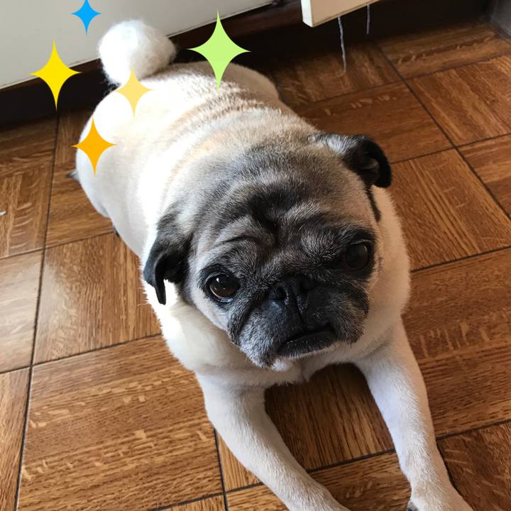 4a2eadc2 bc61 4f95 817a eb2566004c6f