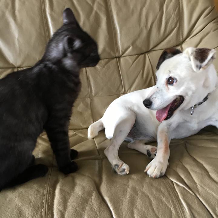 4a2f955f 7d7f 4b0e af2e 43699b42b0a2