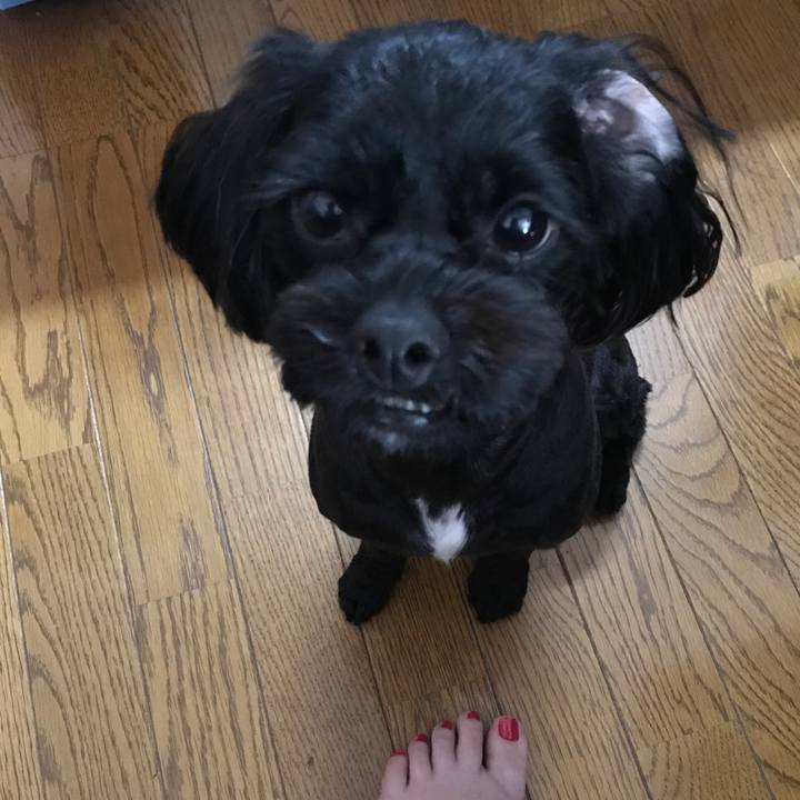 4a2faf39 3b47 4619 b603 30ef53d1f3ef