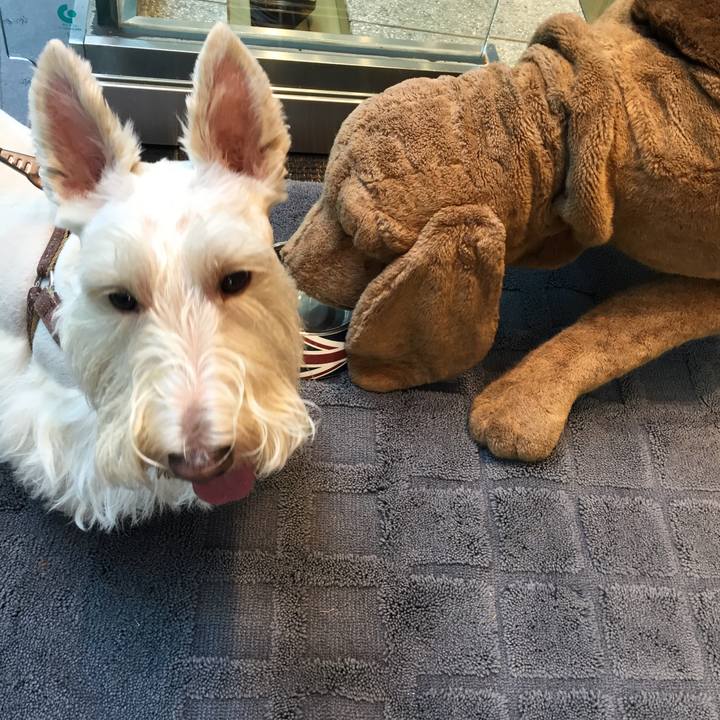 4a3053ab ac5e 4e67 b4db 900a7a4c129d